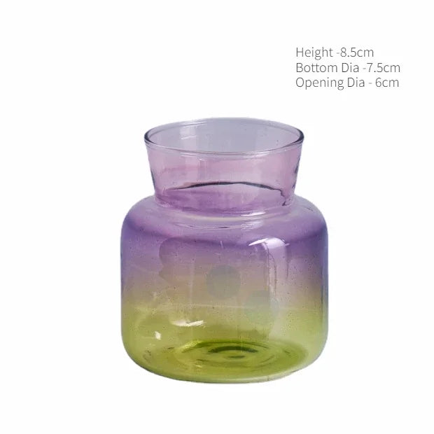 Mini Glass Table Vase Creative Decorative Bottles Centerpieces - Brasss Living